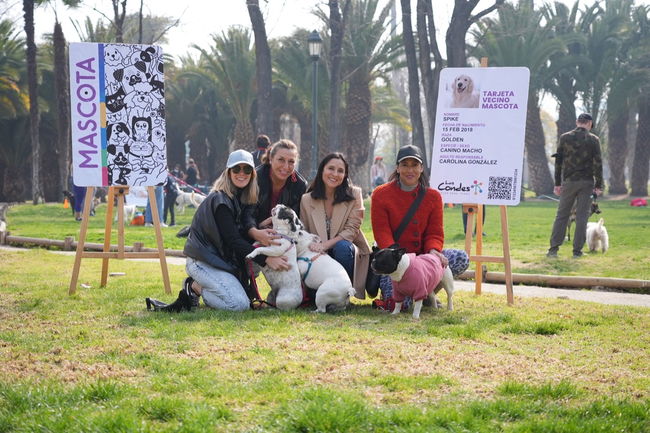 Según el Registro Nacional de Mascotas en Las Condes hay 14.129 caninos y 8.853 felinos inscritos