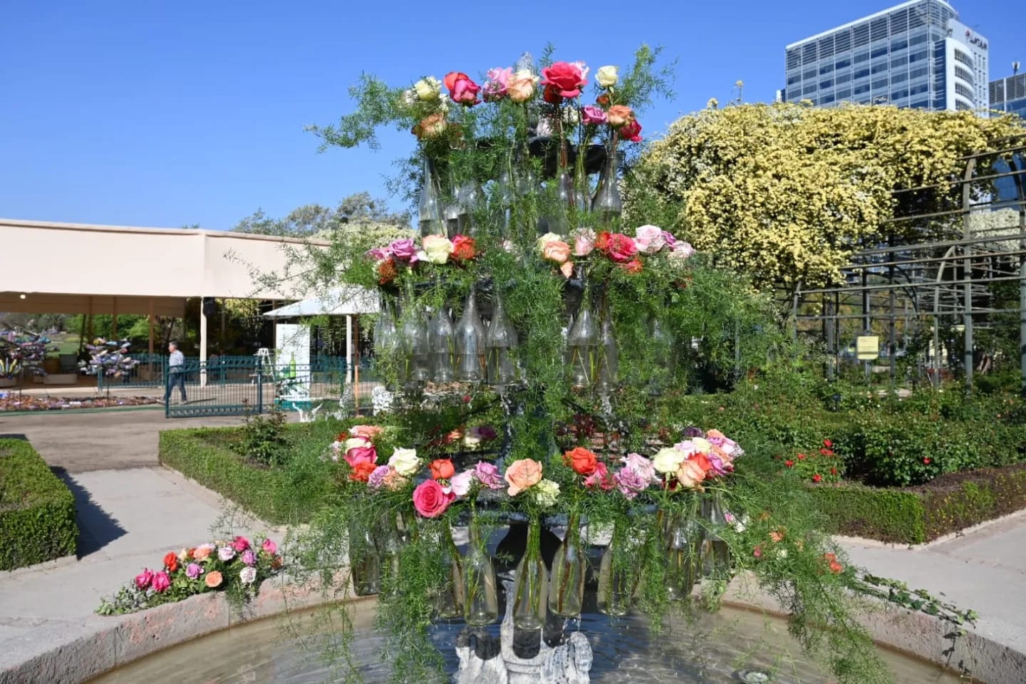 Intervención artística en pileta del Rosedal con más de 150 rosas en botellas.