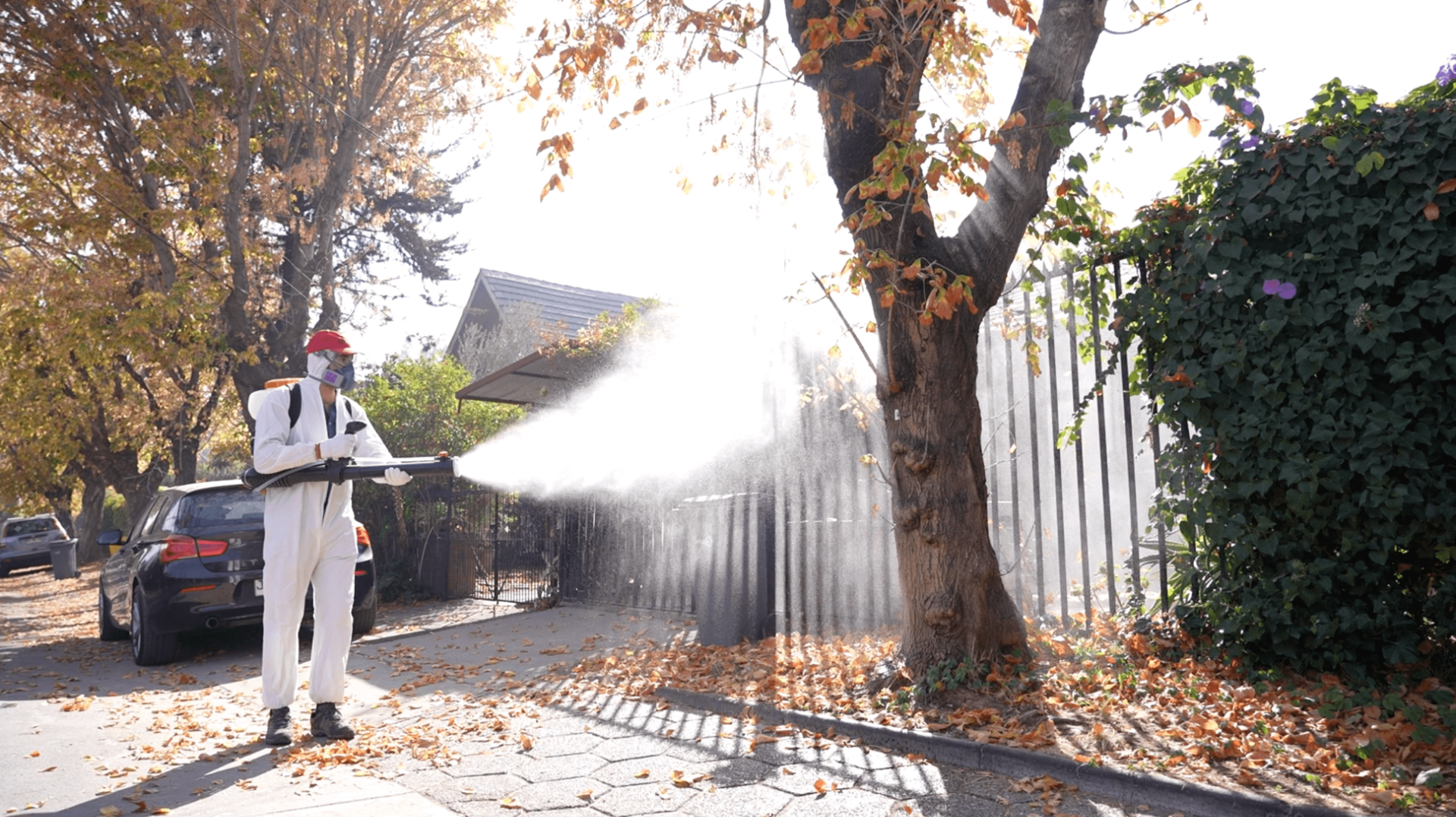 La Municipalidad de Las Condes puso en marcha un intenso plan de fumigación ante las molestias provocadas por la presencia de esta plaga que afecta a más de 11 mil árboles de la comuna