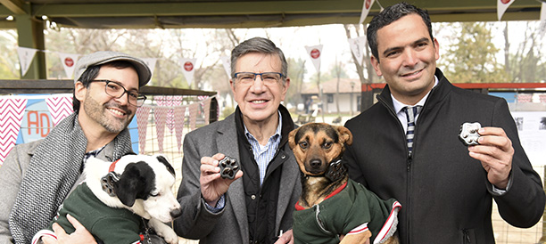 Mascotas adoptadas en canil reciben protección vía GPS