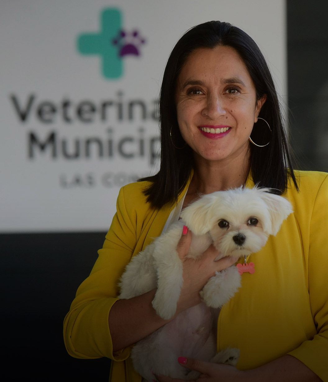Farmapet: Las Condes lanza un nuevo servicio para mascotas